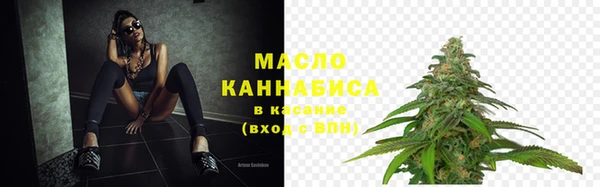 СК Дмитров
