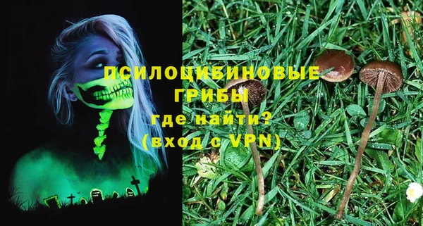 дурь Аркадак